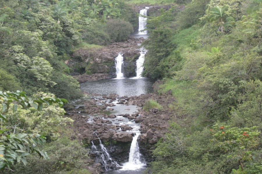 ../image/world botanical gardens - umauma falls 5.jpg